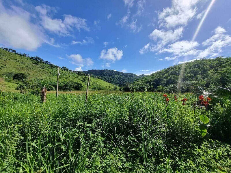 Fazenda A Venda – J Silva Corretor De Imóveis – Imobiliária – Capelinha MG