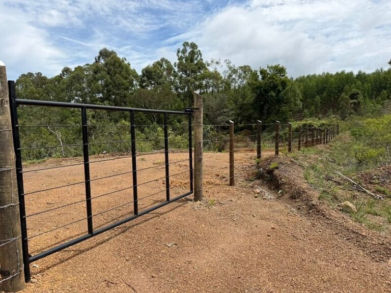 WhatsApp Image 2026-02-03 at 06.48.25 (5) (1)